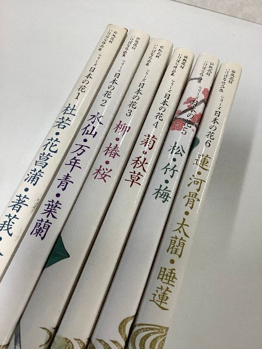 伝統花材いけばな作品集 シリーズ日本の花 全6巻 伝統花材いけばな作品集 シリーズ日本の花 全6巻揃(工藤昌伸=監修