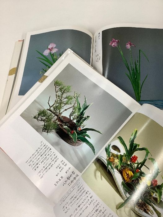 伝統花材いけばな作品集 シリーズ日本の花 全6巻 伝統花材いけばな作品集 シリーズ日本の花 全6巻