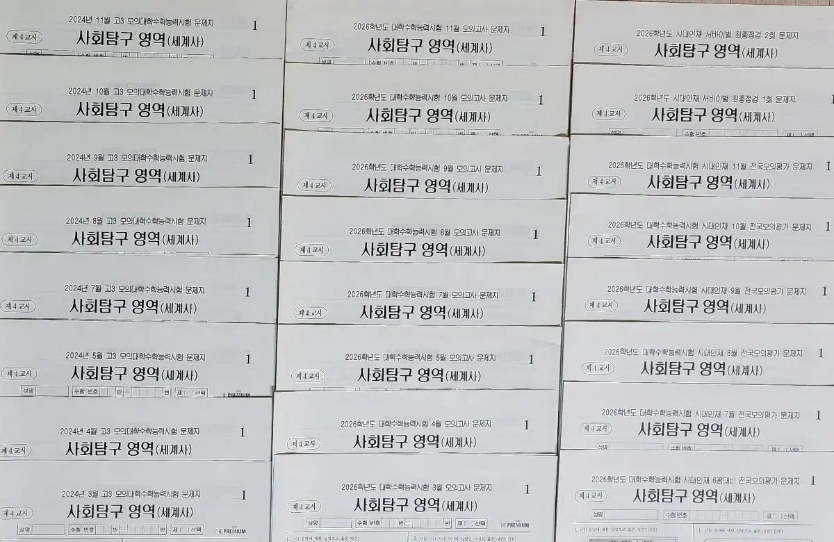 世界史 模擬試験 24回分 時代人材 サバイバルプロ ザ ム