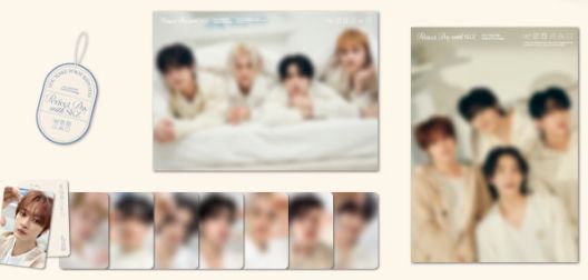 Straykids シーグリ 2024 Perfect Day with SKZ 開封済み 未使用