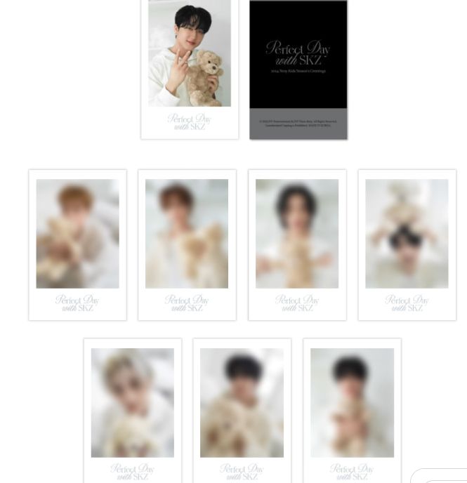 Straykids シーグリ 2024 Perfect Day with SKZ 開封済み 未使用