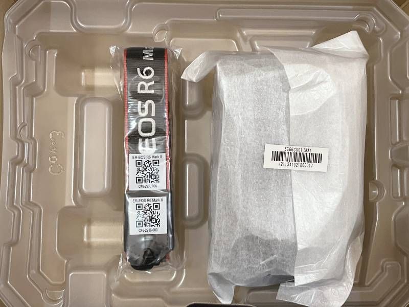  ♥品! Canon EOS R 6 MarkⅡ ミラーレス一眼カメラ ミラーレス一眼 デジタルカメラ