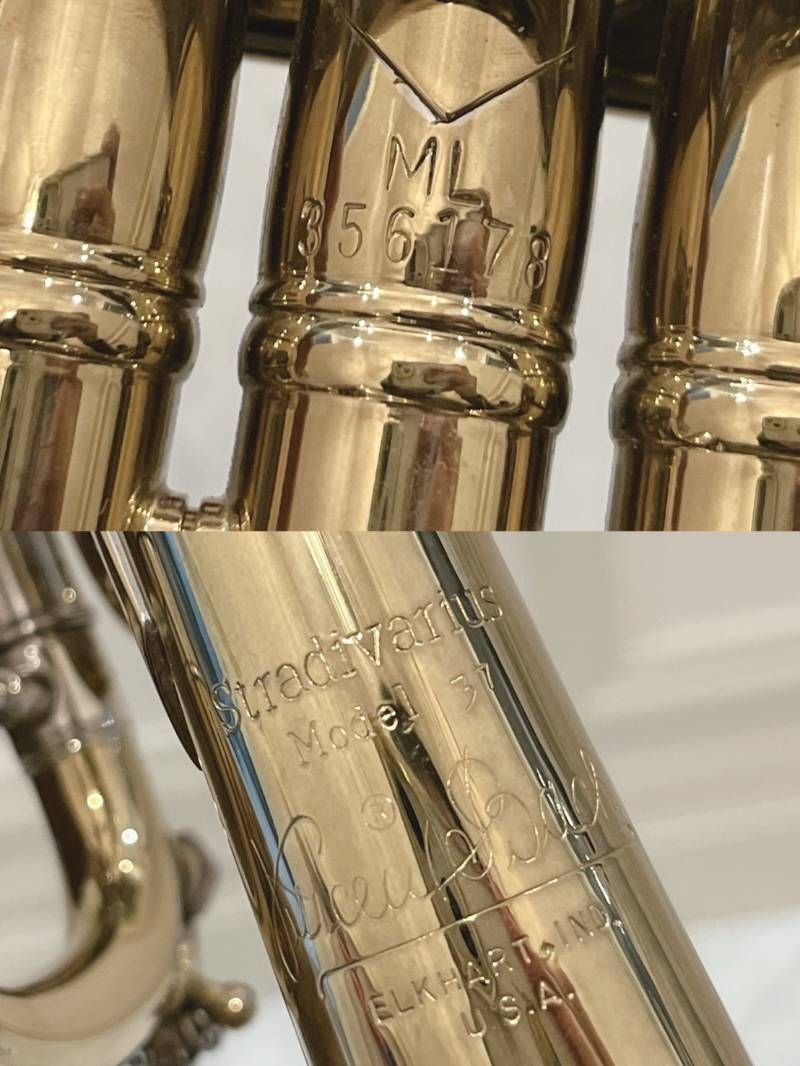 ストラディバリウス ケース付き