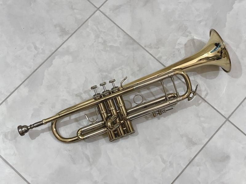 ストラディバリウス ケース付き