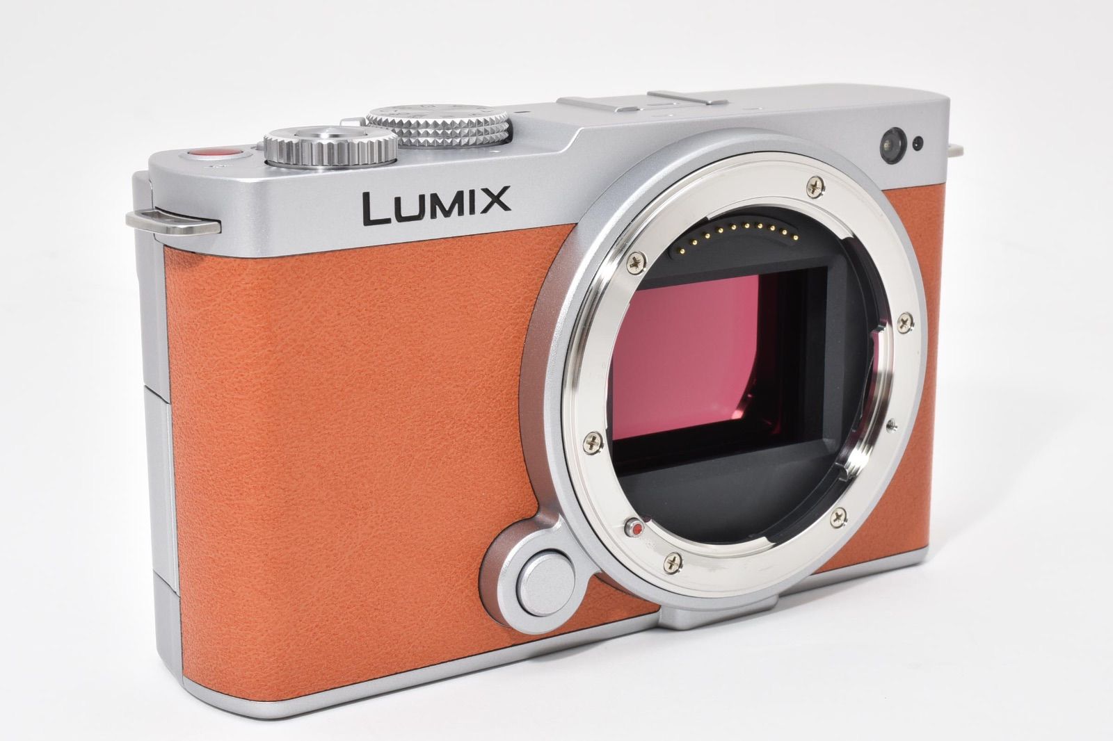 Lumix s