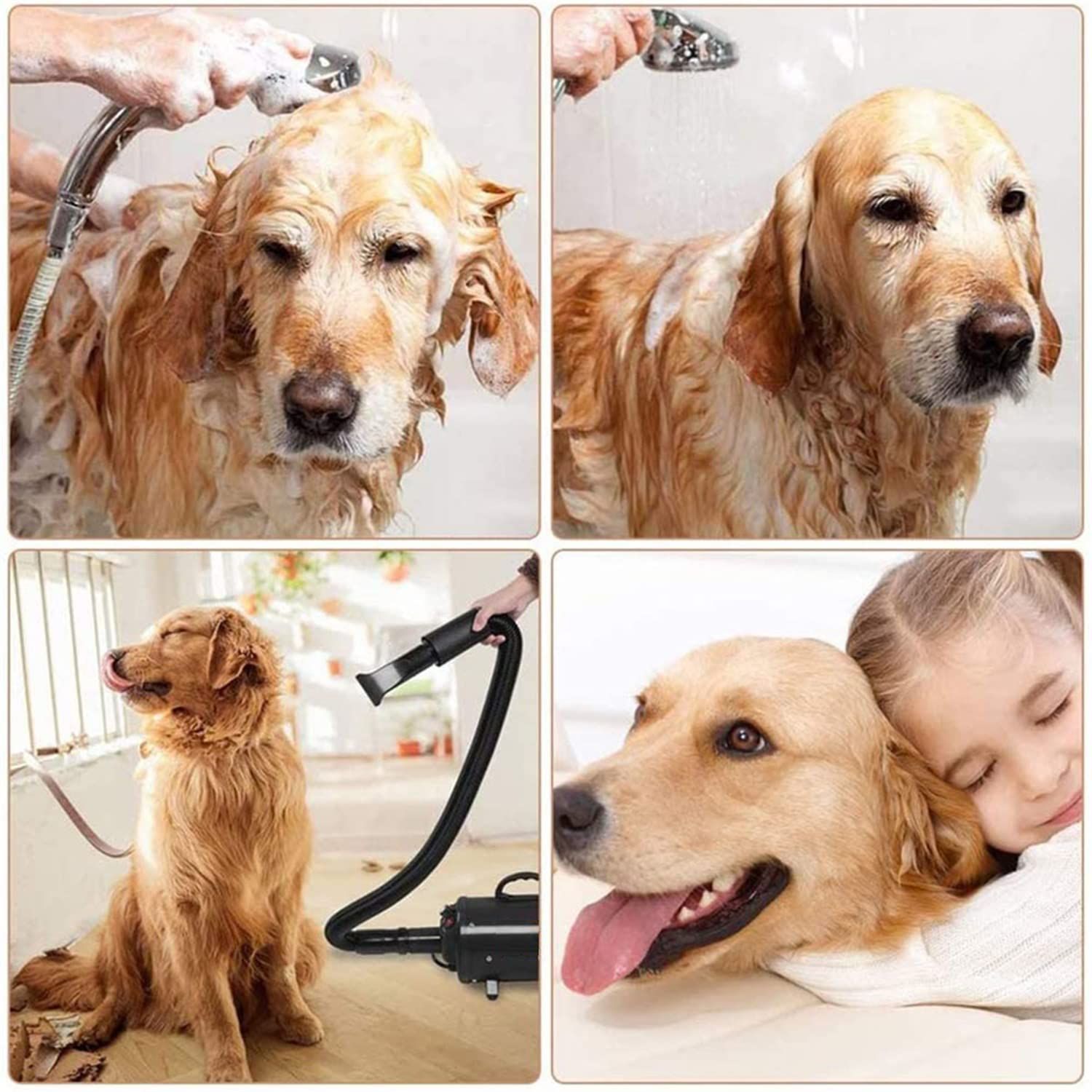ペットドライヤー 犬用 猫 速乾 大風量 マイナスイオン ペットヘア乾燥