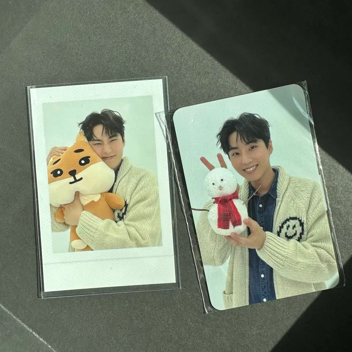 DAY6（デイシックス）ジャイアント デニマルズ（DENIMALZ）ケ チェキ