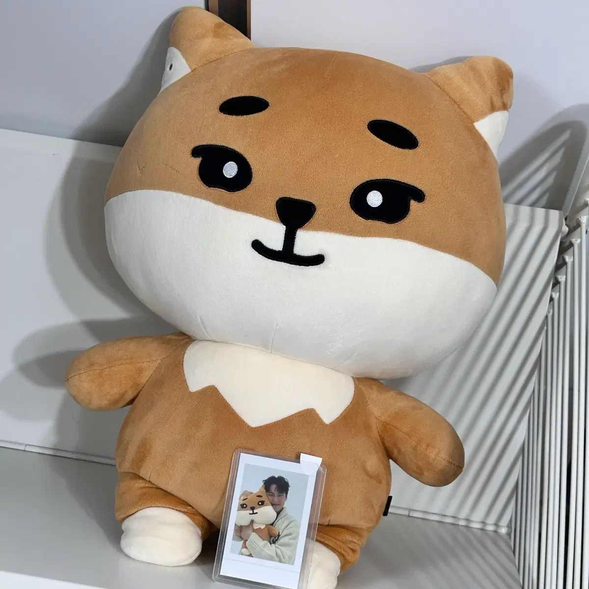 DAY6 ヨンケイ KE グッズ DAY6 ヨンケイ（Young K） 出品 - メルカリ