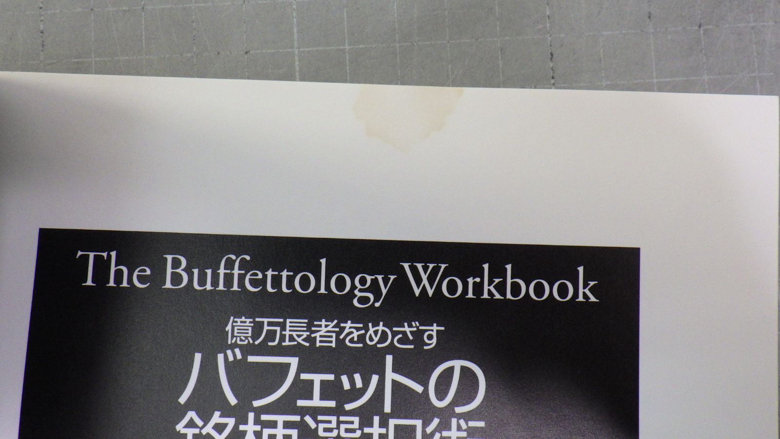 億万長者をめざす バフェットの銘柄選択術 メアリー・バフェット (著