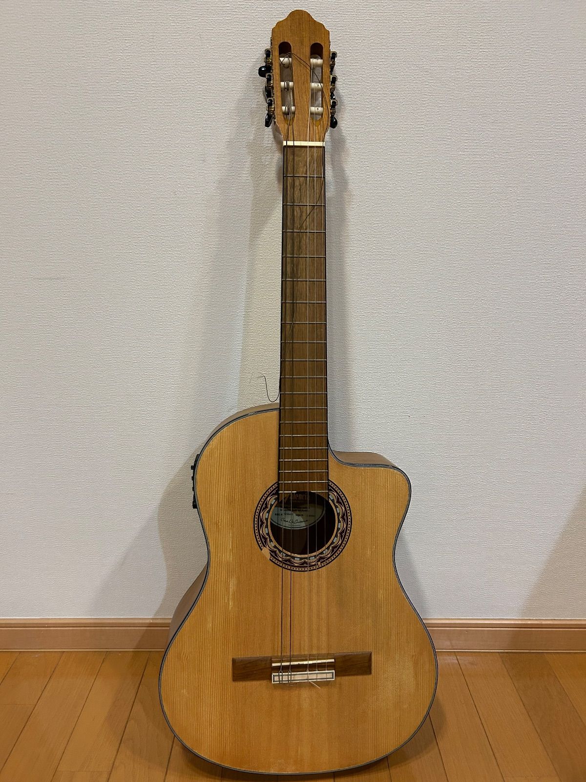 Valencia VC 304 CE バレンシア エレガットギター