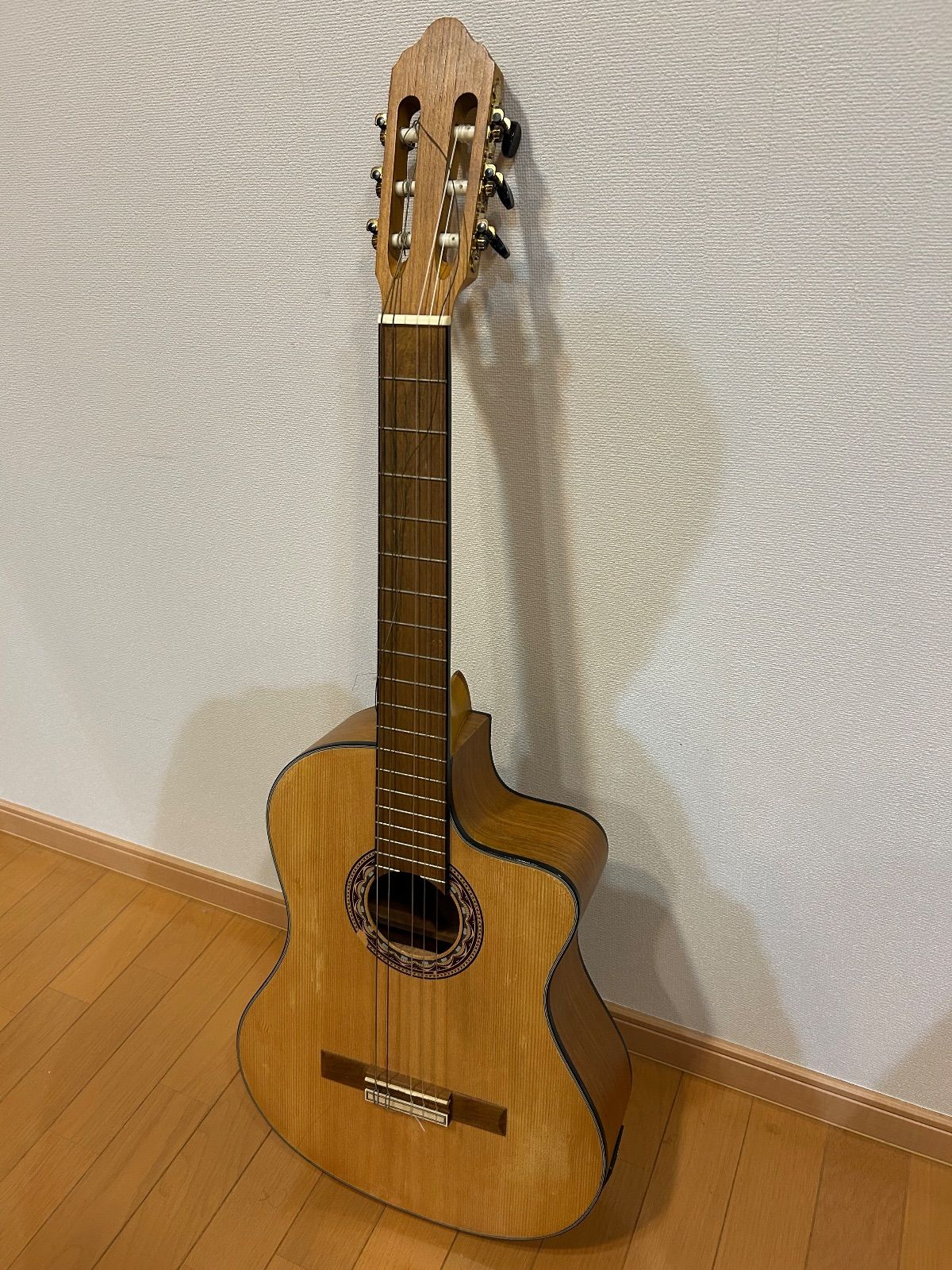 Valencia VC 304 CE バレンシア エレガットギター