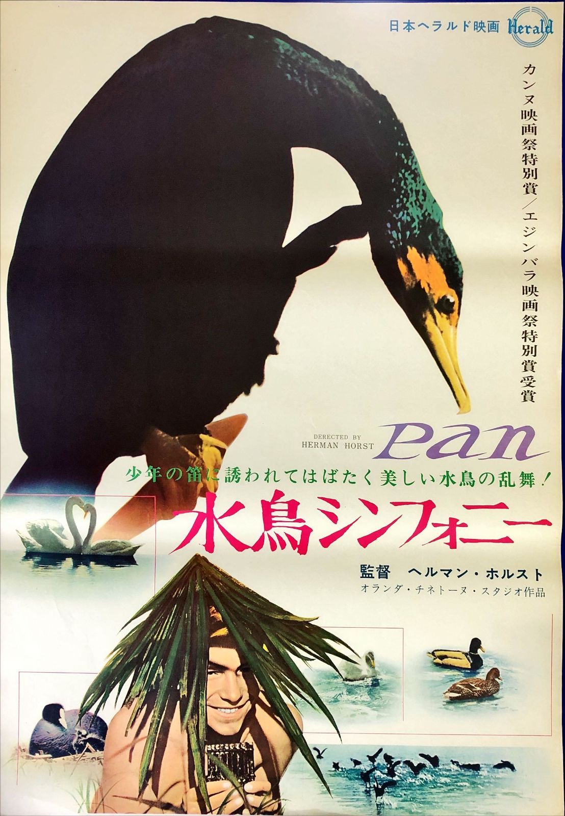 pt『水鳥シンフォニー』映画オリジナルB2判ポスター pt08221 ヘルマン