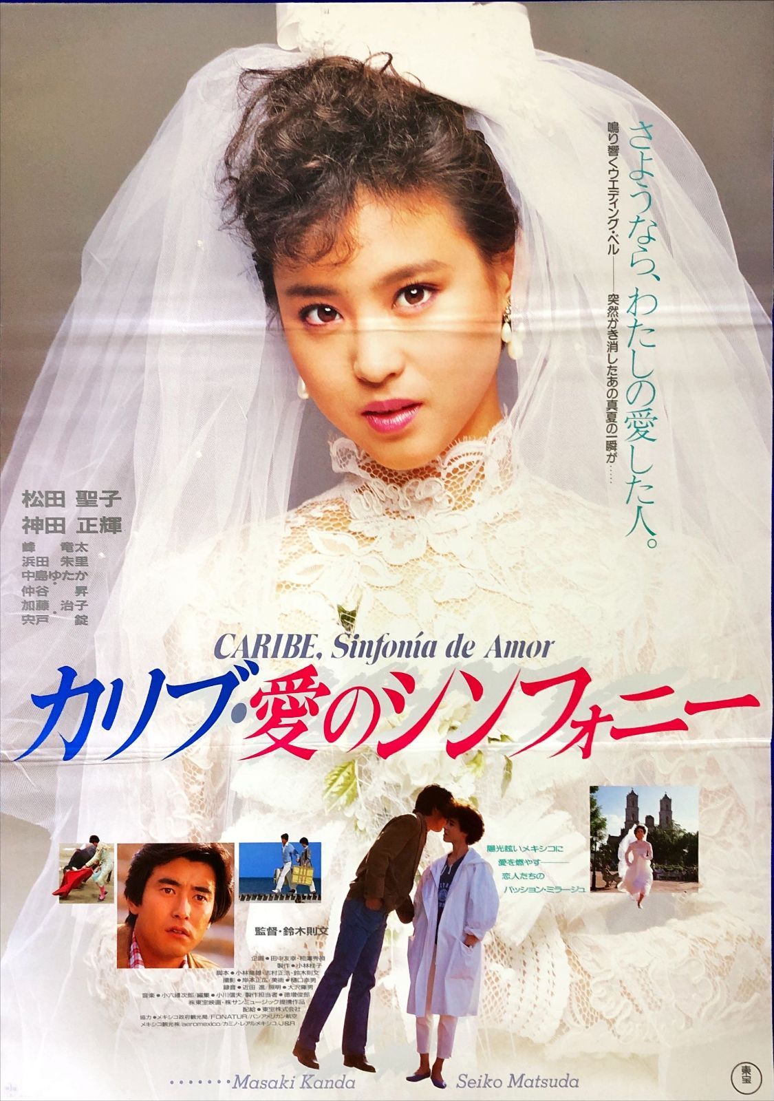 pt『カリブ・愛のシンフォニー』映画オリジナルB2判ポスター pt08666
