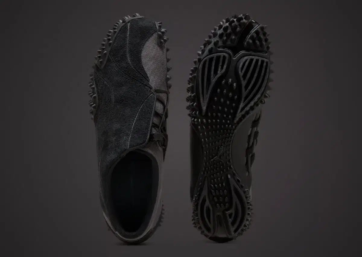 270 プーマ X サンサンギアー モストロ ケージ