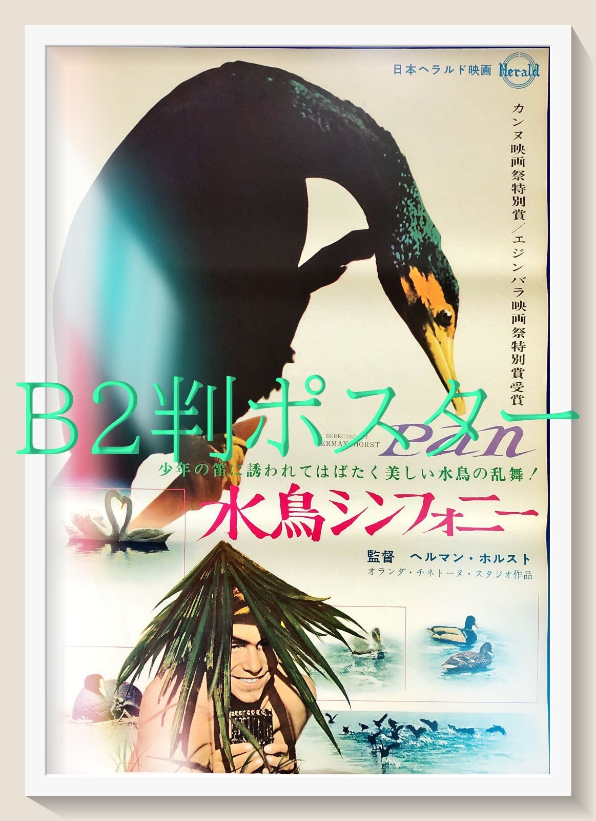 pt『水鳥シンフォニー』映画オリジナルB2判ポスター pt08221 ヘルマン