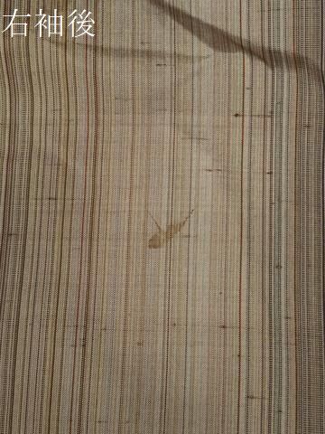 縞 正絹
