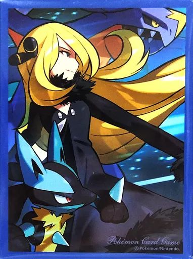 [Used] Supply Pokemon Card Game Deck Shield (Sleeve) Shirona's Power Pokemon Card Gym Limited