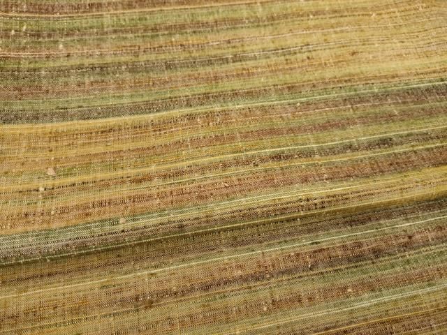 平和屋着物●郡上紬 草木染