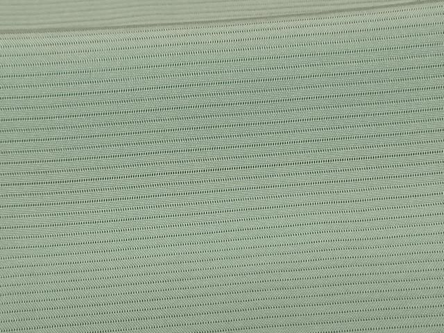  平和屋着物＊夏物 色無地 絽 裏葉柳色 正絹 jd 色無地 着物