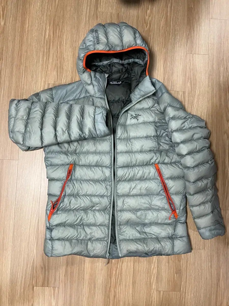 ARC TERYX Cerium アークテリクス セリウム WHO フーディー Habitat ポップ L