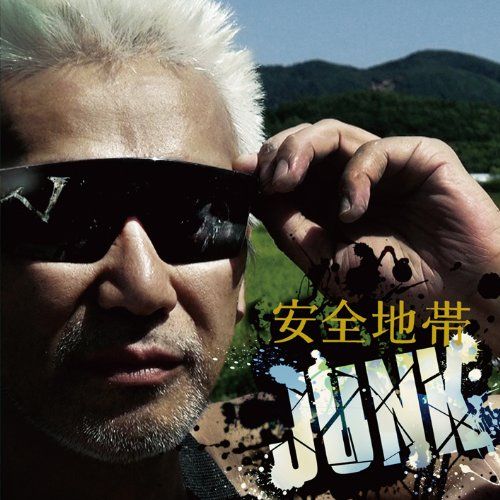 CD 安全地帯XIII JUNK 初回 盤 DVD付 安全地帯