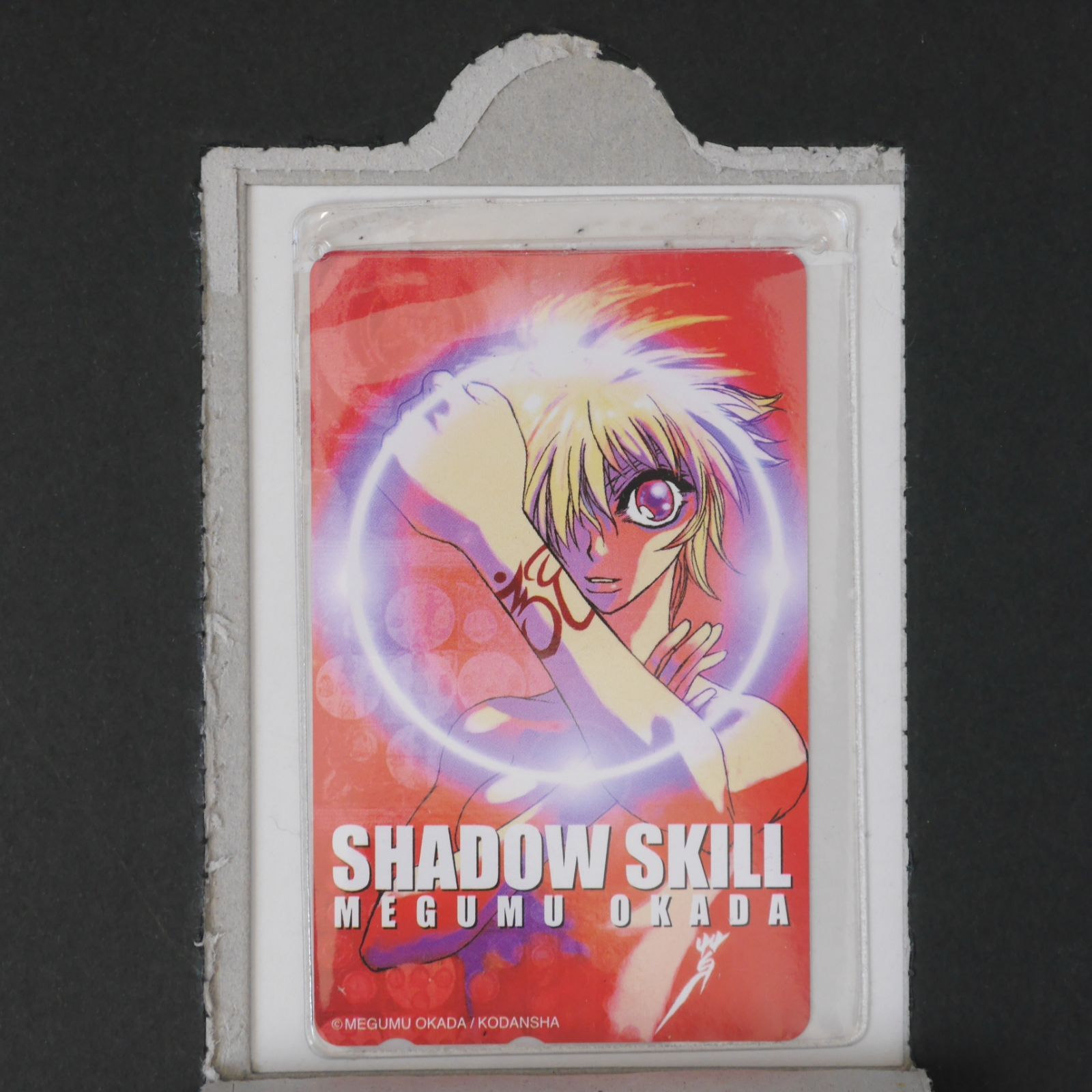 破れシミなどのダメージあり) 岡田 芽武 SHADOW SKILL 真・秩序法典