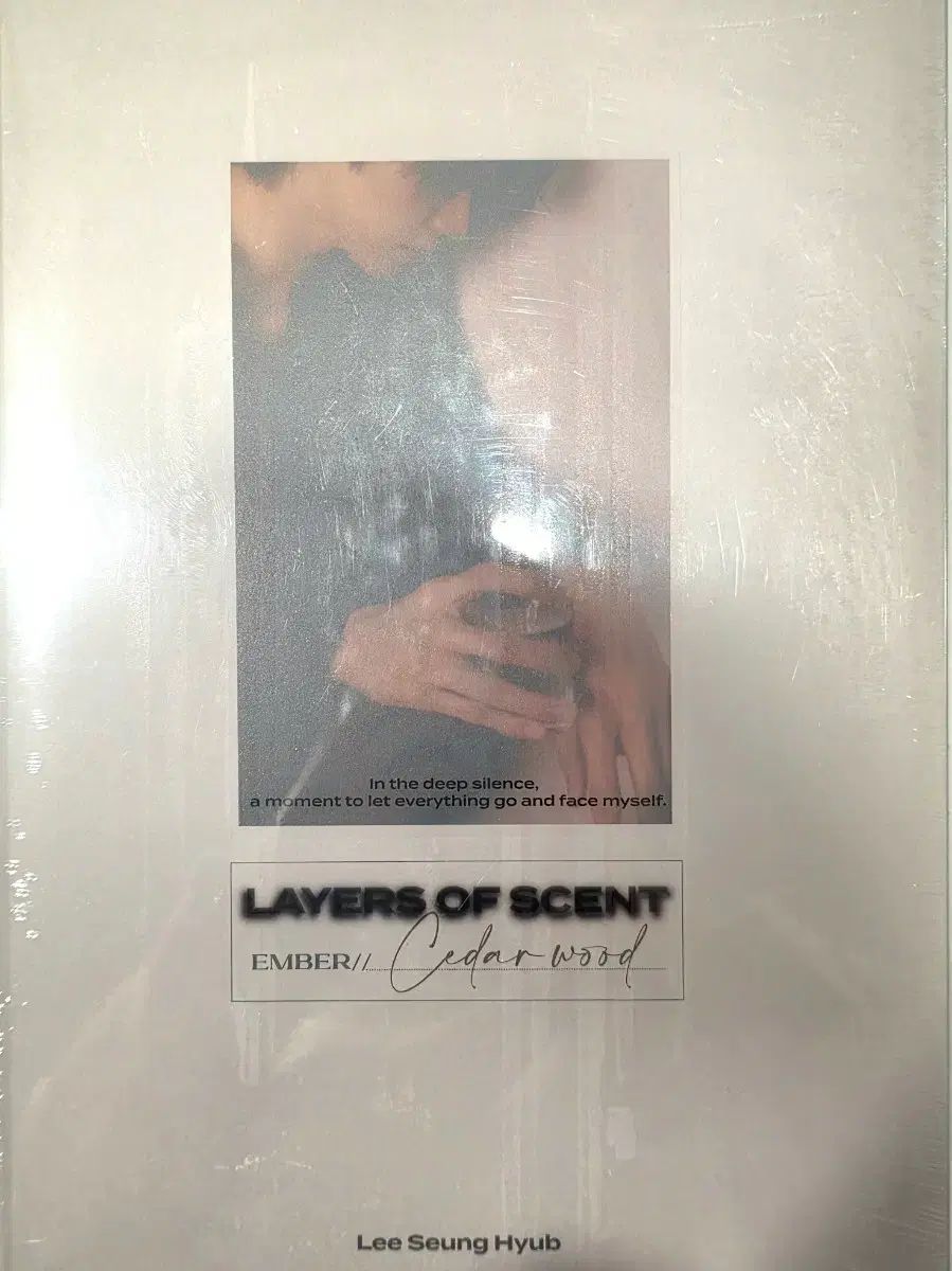 N.Flying（エヌフライング）イ・スンヒョプ フォトブック PHOTOBOOK