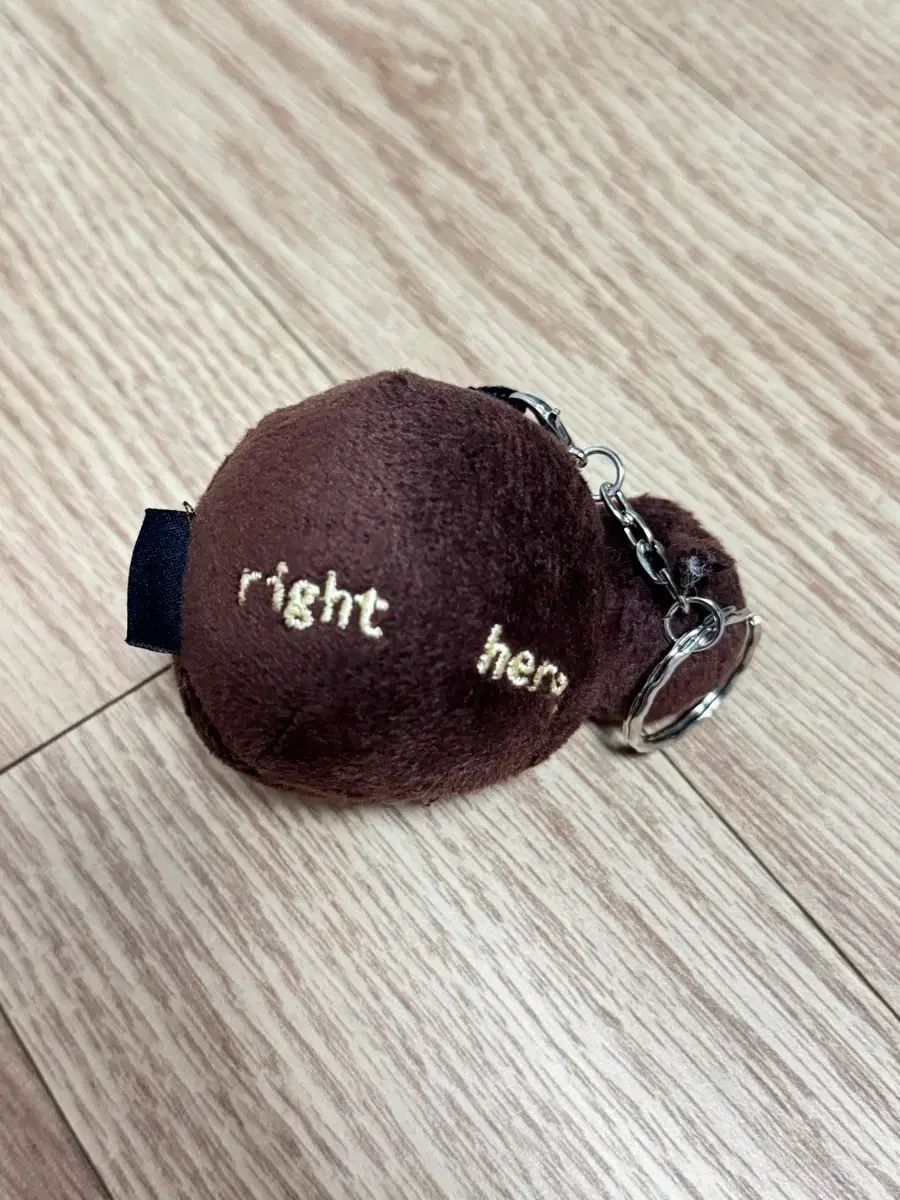 オゴペンオリジナル160F☆ パドルベイト ラグラス カーペンター