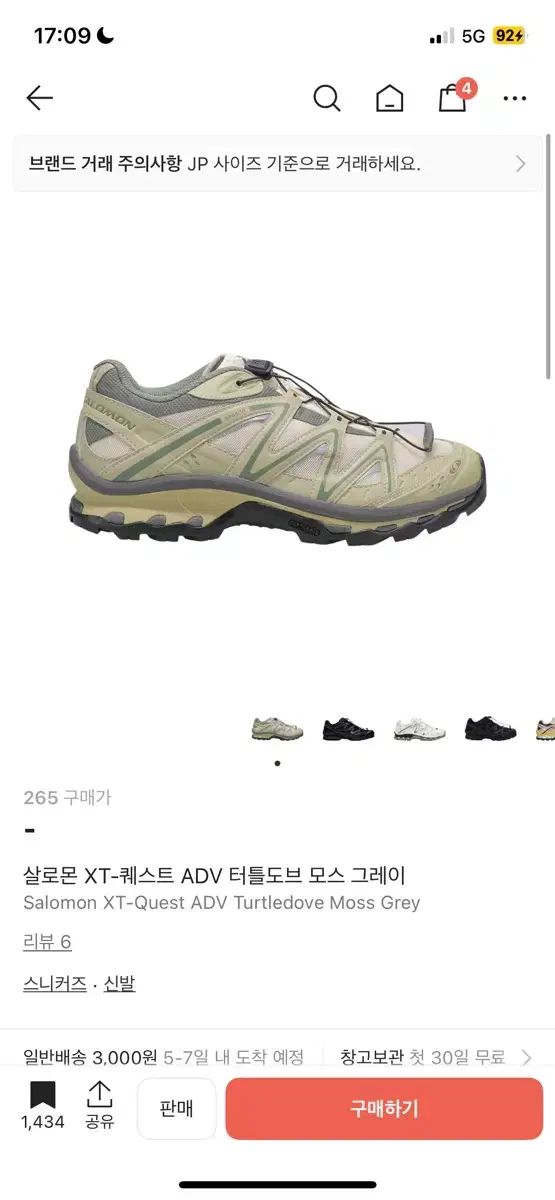 サロモン XT クエスト ADV タートルダブ モス グレー 295