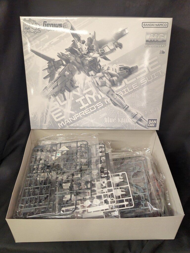 BANDAI SPIRITS MG 1|100 ガンダムビルドダイバーズ Genius Head Line ガンダムエクスインパルス