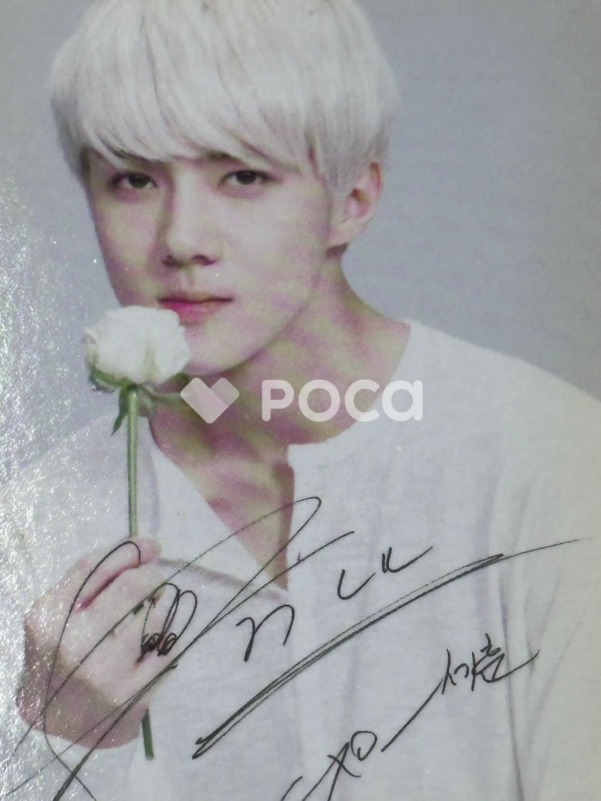 EXO セフン ネイチャーリパブリック - メルカリ