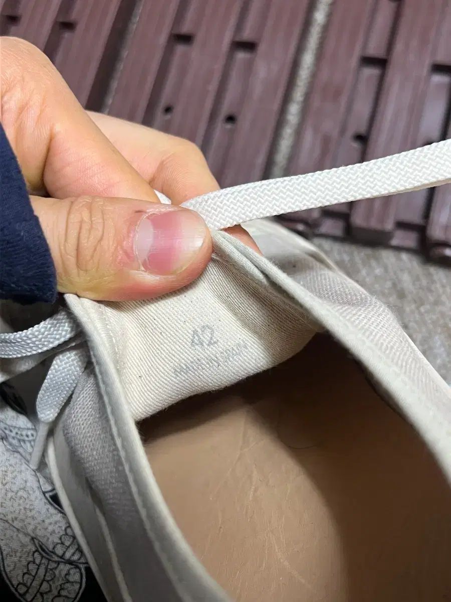 スタジオ ニコルソン