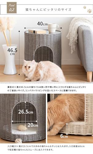 サイドテーブルとしても使える樹脂製ラタンの猫ちぐら