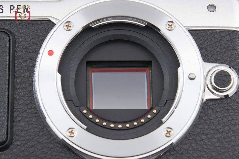 ミラーレス一眼カメラ シャッター回数僅少