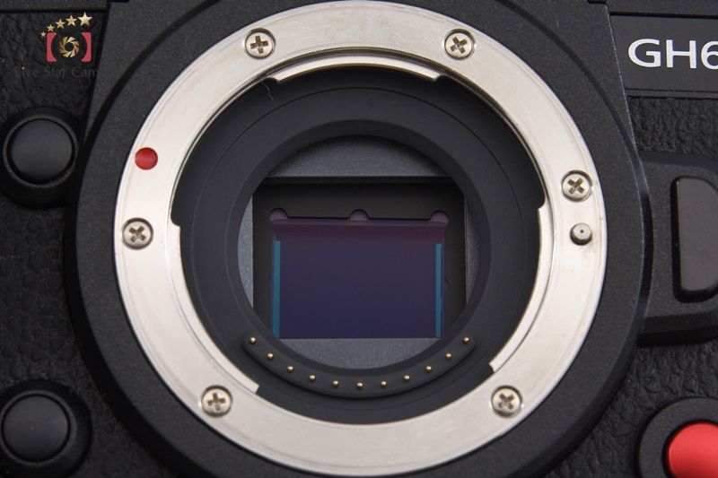 6 ミラーレス一眼カメラ