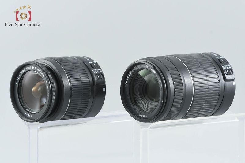 ダブルズームレンズキット シャッター回数僅少