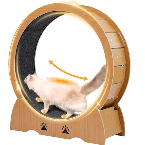 キャットホイール 猫の車輪 猫 ホイール 猫用トレッドミル 直径100 cm 猫ランニングホイール 回し車 猫用回し車 運動不足解消 低騒音とロック装置 日本語説明書付き m