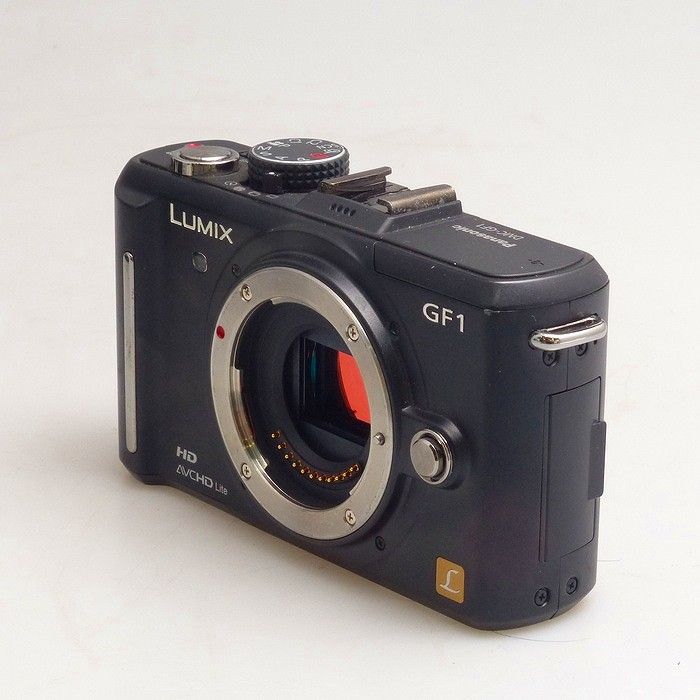 パナソニック Panasonic DMC-GF 1
