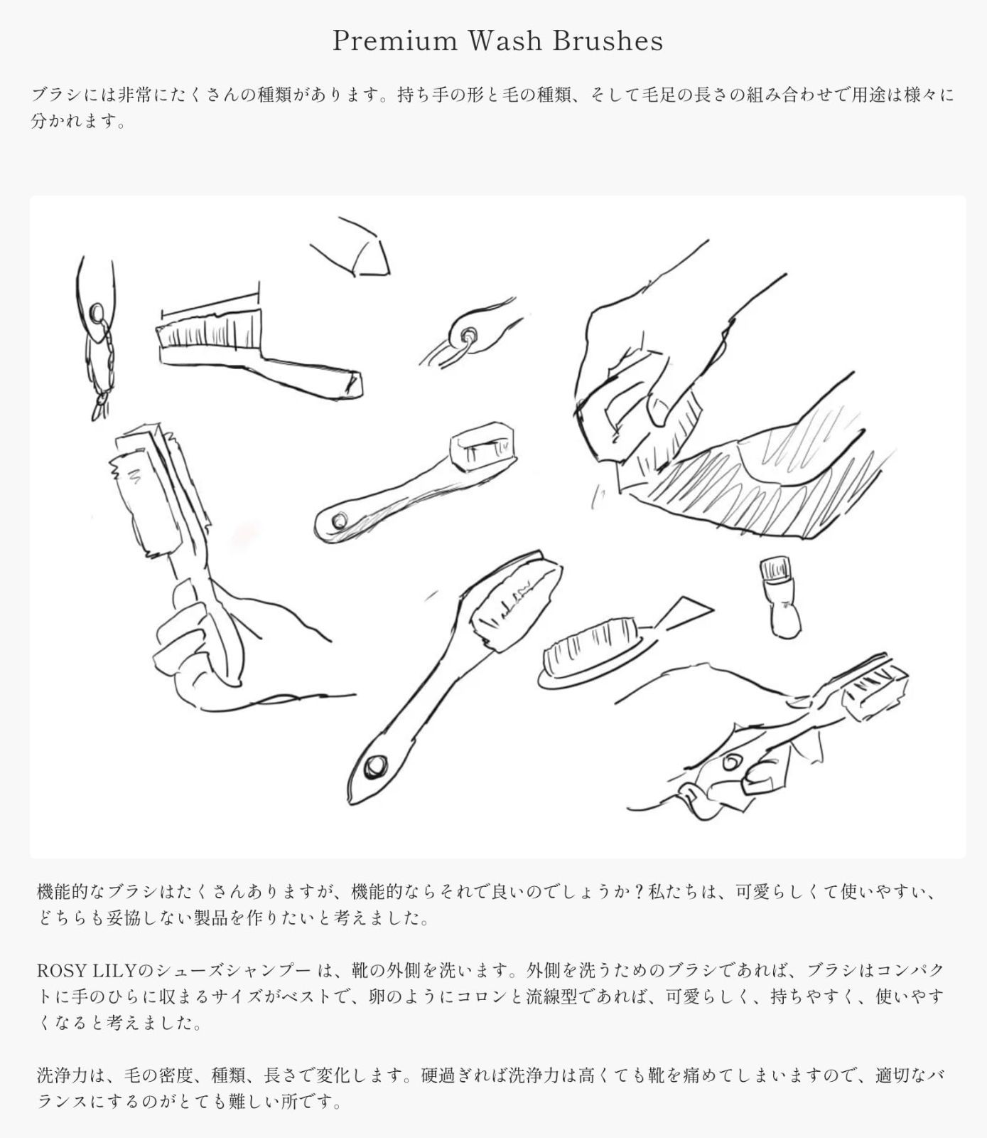 靴洗い Yシャツ洗いなどに最適 ムウォッシュブラシ ロジーリリー 豚毛 LILY ROSY