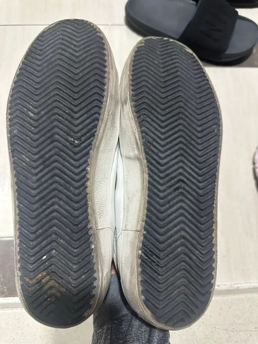 シルバータップ 42