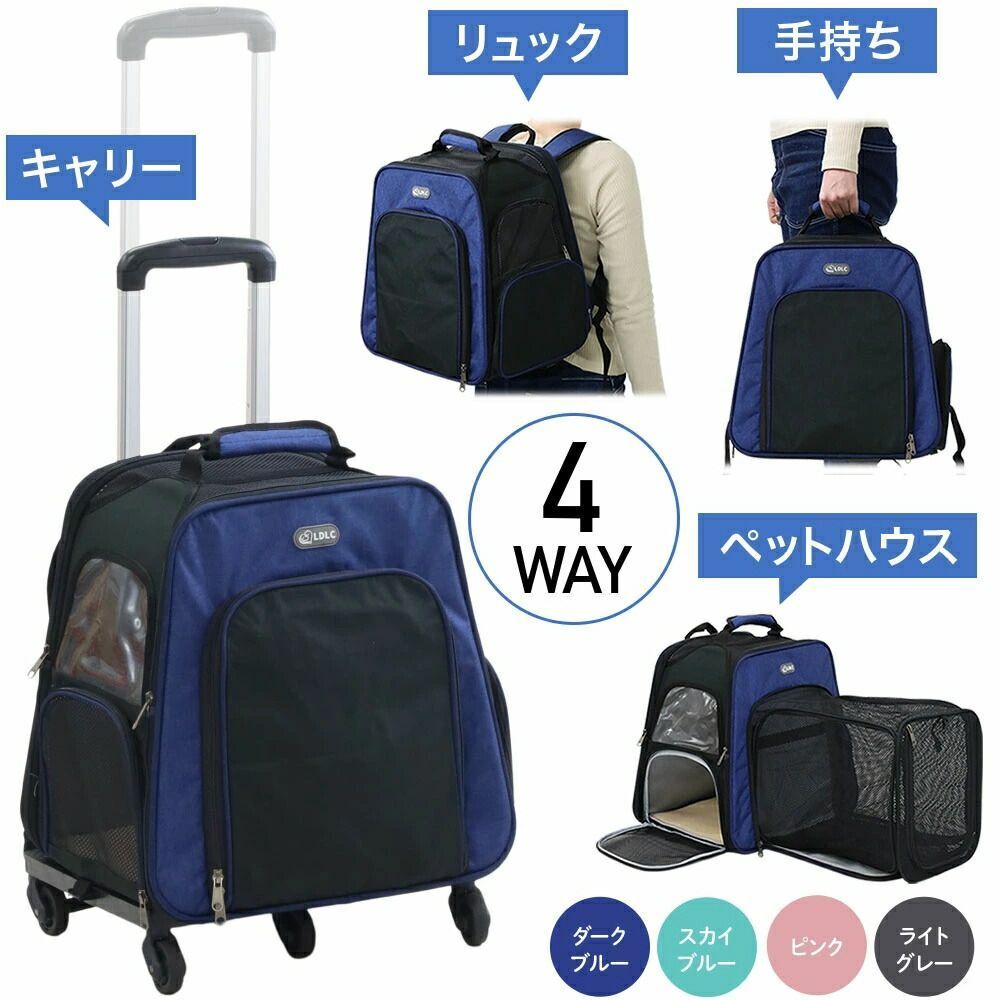 本 【平中悠一 初版❗️】 バック・トゥ・キャンパス : ギンガム