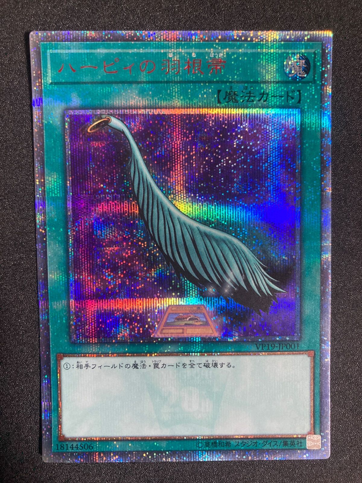 美品】ハーピィの羽根帚 ハーピィの羽根箒 ハーピィの羽帚 ハーピィの