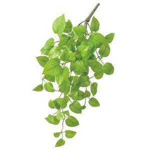 ASCA アスカ ポトスハンギングブッシュ A-43158-052 B 入数 6