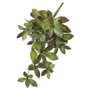 ASCA アスカ ピオニーリーフハンギングブッシュ A-43222-015 G 入数 12