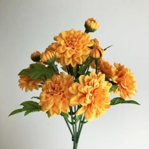 ASCA アスカ マリーゴールドブッシュ×8 つぼみ×5 A-33619-030 入数 12