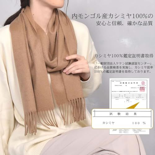  §Ｈ∞Ｈａｙａｓｈｉｇｕｃｈｉ ハヤシグチ カシミヤ カシミア マフラー フリンジデザイン CS 0099 po 493 bdee 7 その他 キッチン 食器