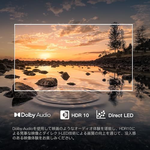  FPD チューナーレステレビ 32 V型 720 P Google TV ネット動画対応 スマートテレビ HDR 10対応 Dolby Audio Cast内蔵 音声検索 VESA規格 CG 32-P 2 2025 モデル m その他 テレビ本体