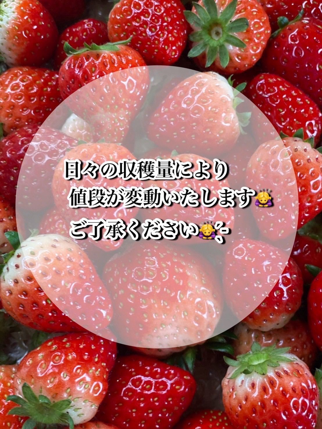 訳あり とちあいか 2箱 まとめ売り 農家直送 - メルカリ