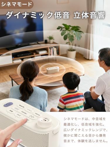 ワイヤレス Rena送信機Pro