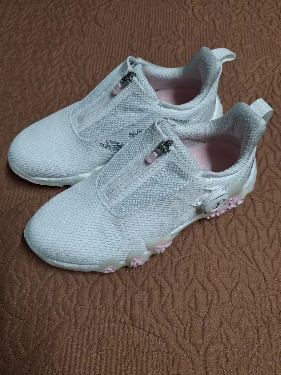 230 アディダス コードカオス ボア レディース ゴルフシューズ 1191